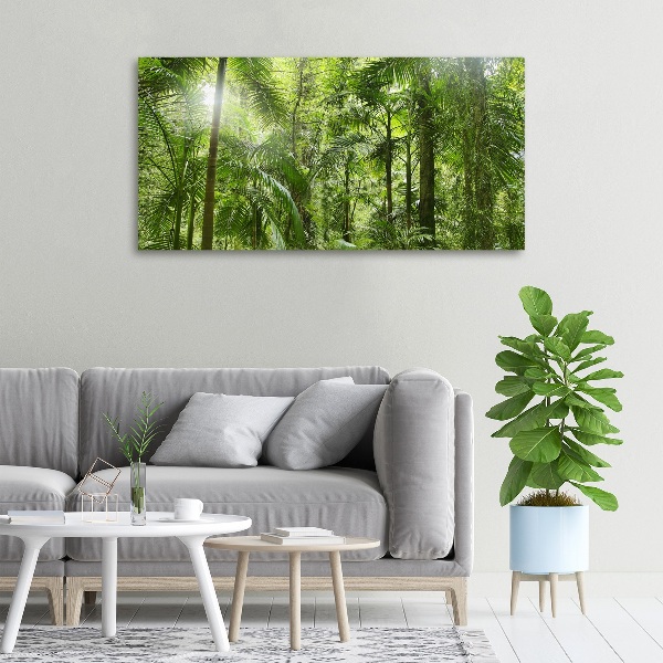 Foto quadro su tela Foresta tropicale