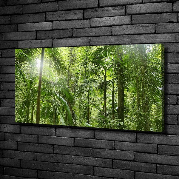 Foto quadro su tela Foresta tropicale