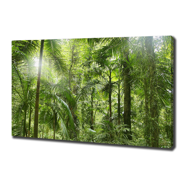 Foto quadro su tela Foresta tropicale