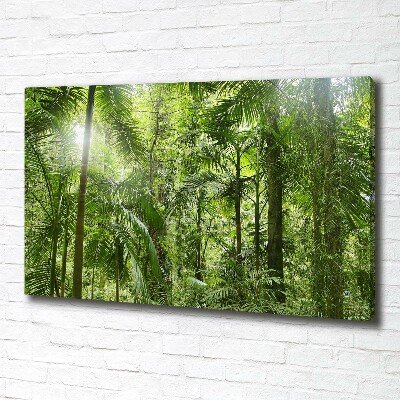 Foto quadro su tela Foresta tropicale