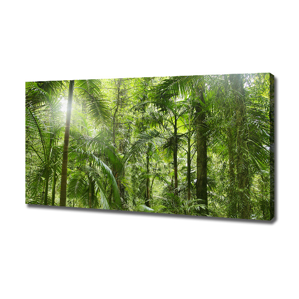 Foto quadro su tela Foresta tropicale
