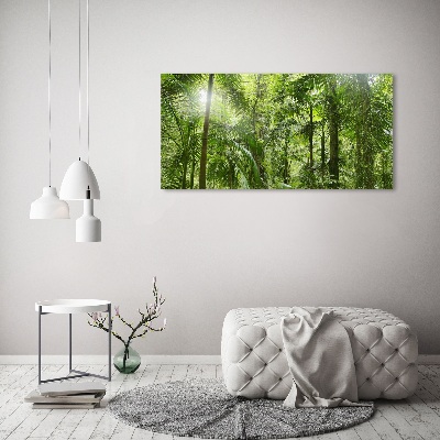 Foto quadro su tela Foresta tropicale