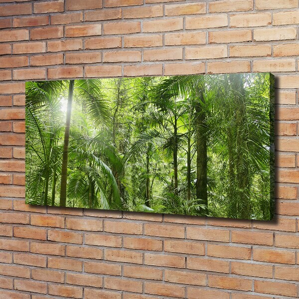 Foto quadro su tela Foresta tropicale