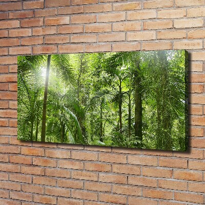 Foto quadro su tela Foresta tropicale