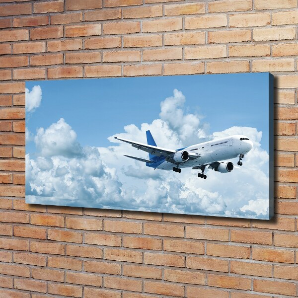 Foto quadro su tela Un aereo nel cielo