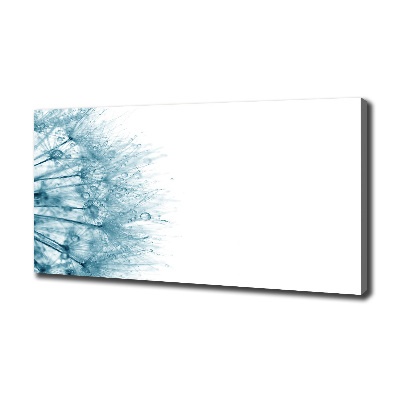 Quadro stampa su tela Dente di leone