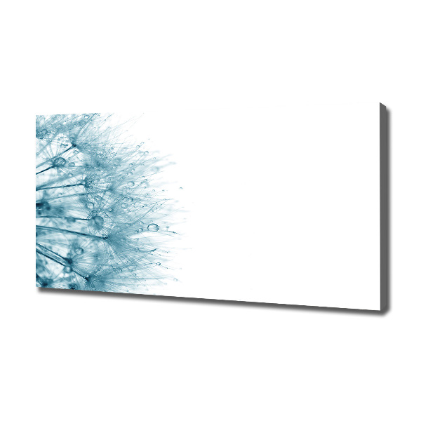 Quadro stampa su tela Dente di leone