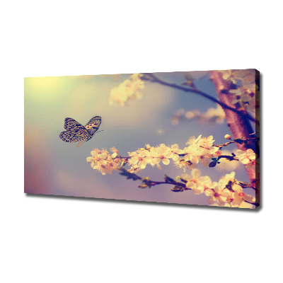 Quadro su tela Fiore di ciliegio e farfalla