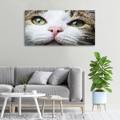 Quadro su tela Occhi di gatto verdi