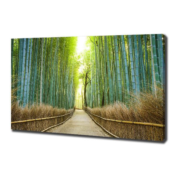 Quadro stampa su tela Foresta di bambù
