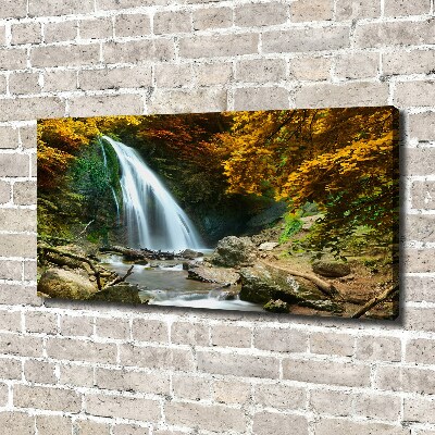 Quadro su tela Cascata nella foresta