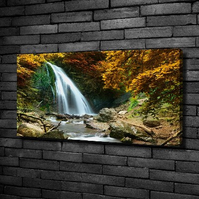Quadro su tela Cascata nella foresta