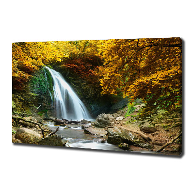 Quadro su tela Cascata nella foresta