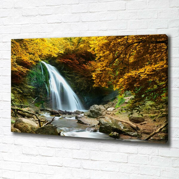 Quadro su tela Cascata nella foresta