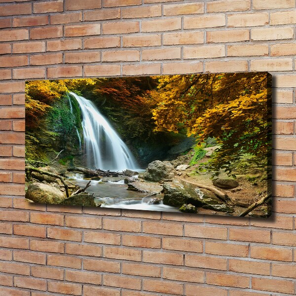 Quadro su tela Cascata nella foresta