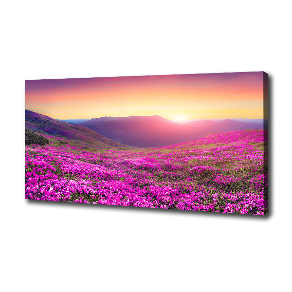 Foto quadro su tela Colline rosa