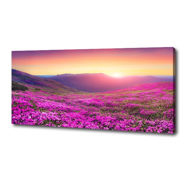 Foto quadro su tela Colline rosa