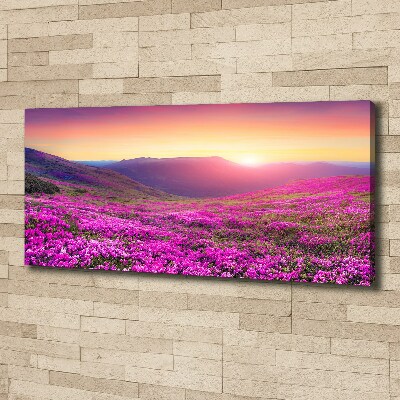 Foto quadro su tela Colline rosa