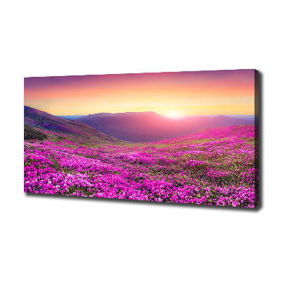 Foto quadro su tela Colline rosa