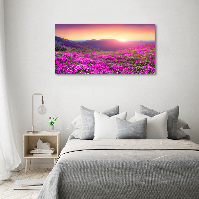 Foto quadro su tela Colline rosa