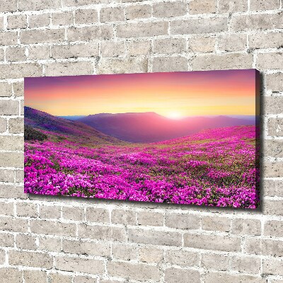 Foto quadro su tela Colline rosa