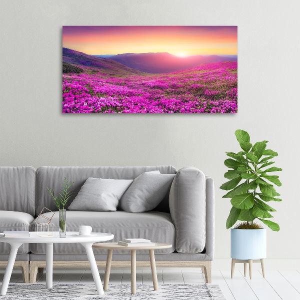 Foto quadro su tela Colline rosa