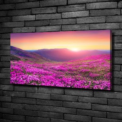 Foto quadro su tela Colline rosa