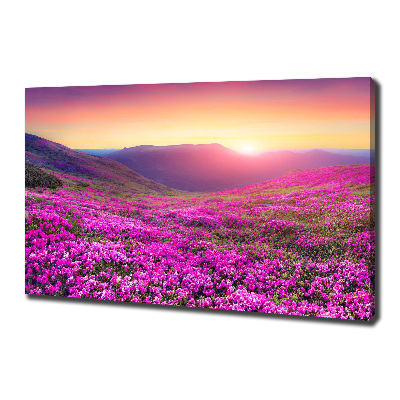 Foto quadro su tela Colline rosa