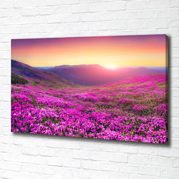 Foto quadro su tela Colline rosa