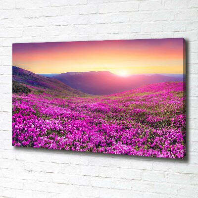 Foto quadro su tela Colline rosa