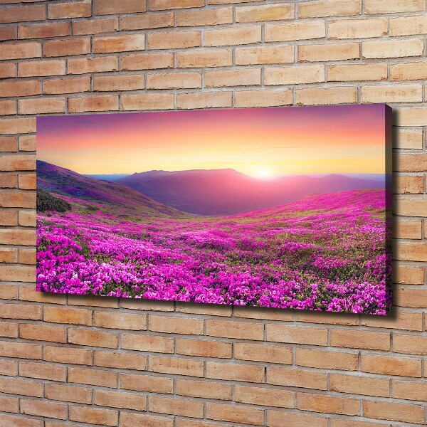 Foto quadro su tela Colline rosa