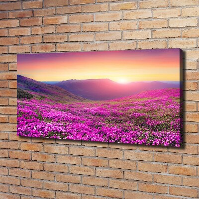 Foto quadro su tela Colline rosa