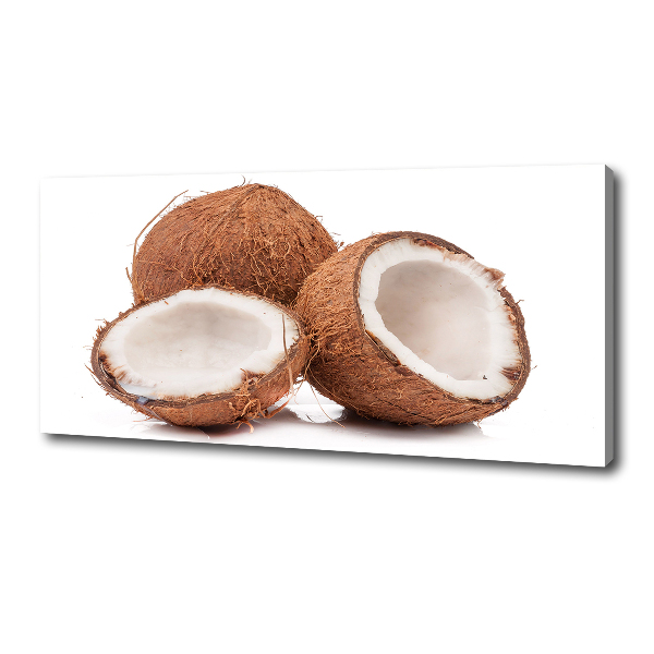 Foto quadro su tela Noce di cocco