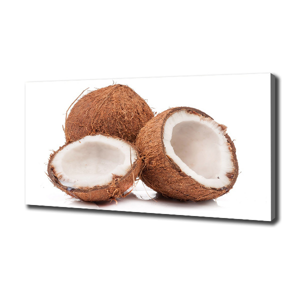 Foto quadro su tela Noce di cocco