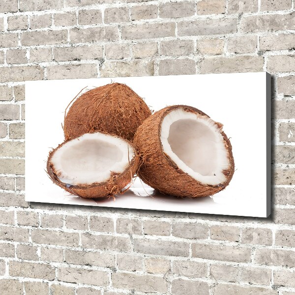 Foto quadro su tela Noce di cocco