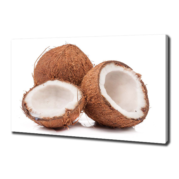 Foto quadro su tela Noce di cocco