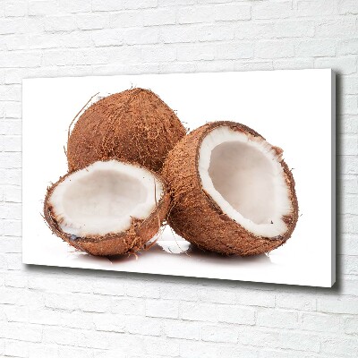 Foto quadro su tela Noce di cocco
