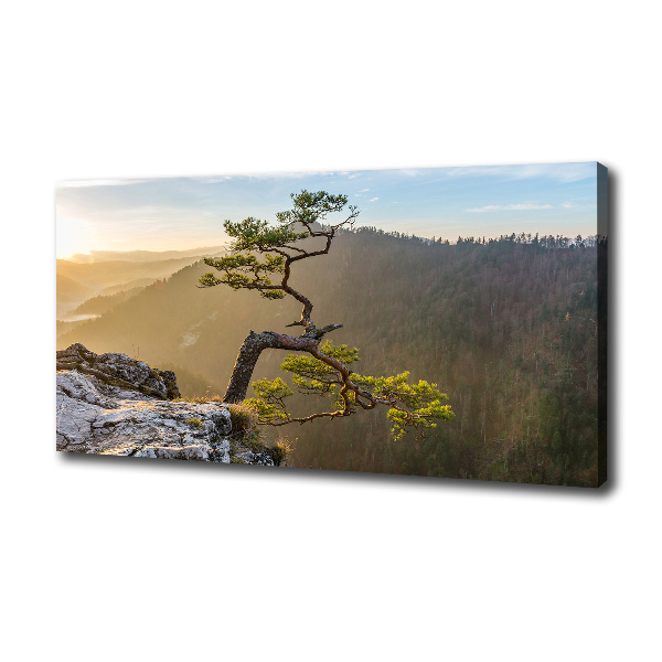 Foto quadro su tela Sokolica Pieniny