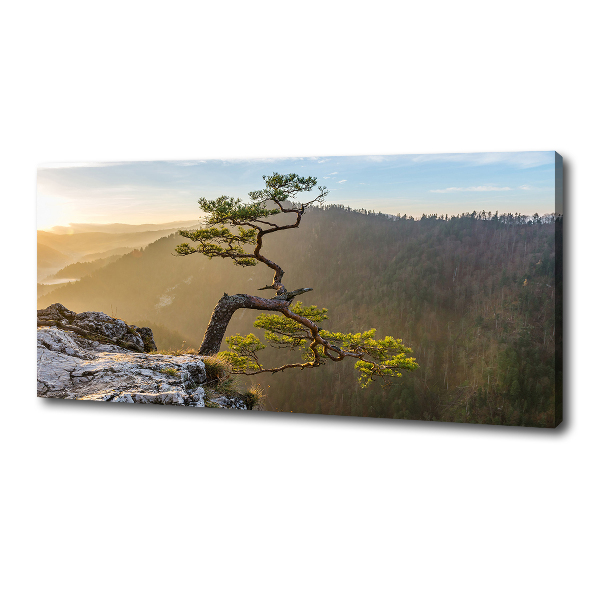 Foto quadro su tela Sokolica Pieniny