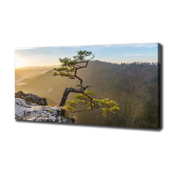 Foto quadro su tela Sokolica Pieniny
