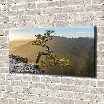 Foto quadro su tela Sokolica Pieniny