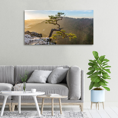 Foto quadro su tela Sokolica Pieniny