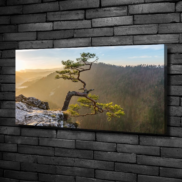 Foto quadro su tela Sokolica Pieniny