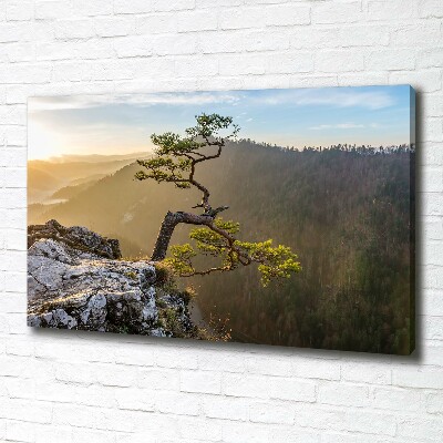 Foto quadro su tela Sokolica Pieniny