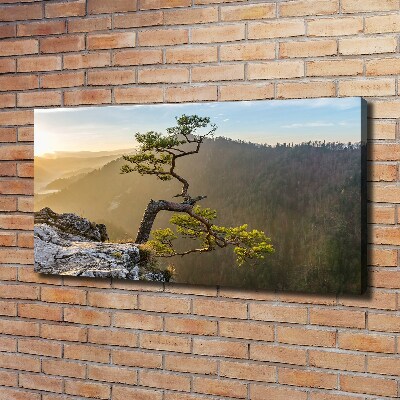 Foto quadro su tela Sokolica Pieniny