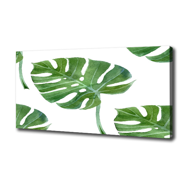 Quadro su tela Monstera