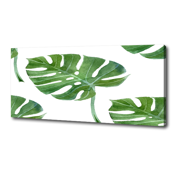 Quadro su tela Monstera