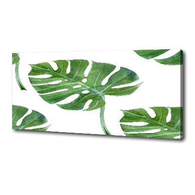Quadro su tela Monstera
