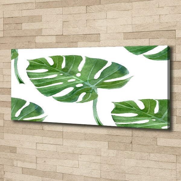 Quadro su tela Monstera