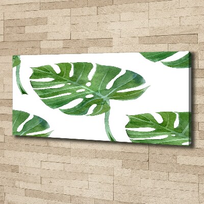 Quadro su tela Monstera